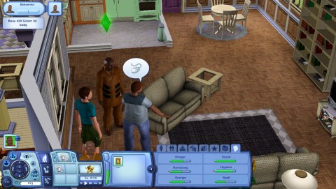 Sims 3